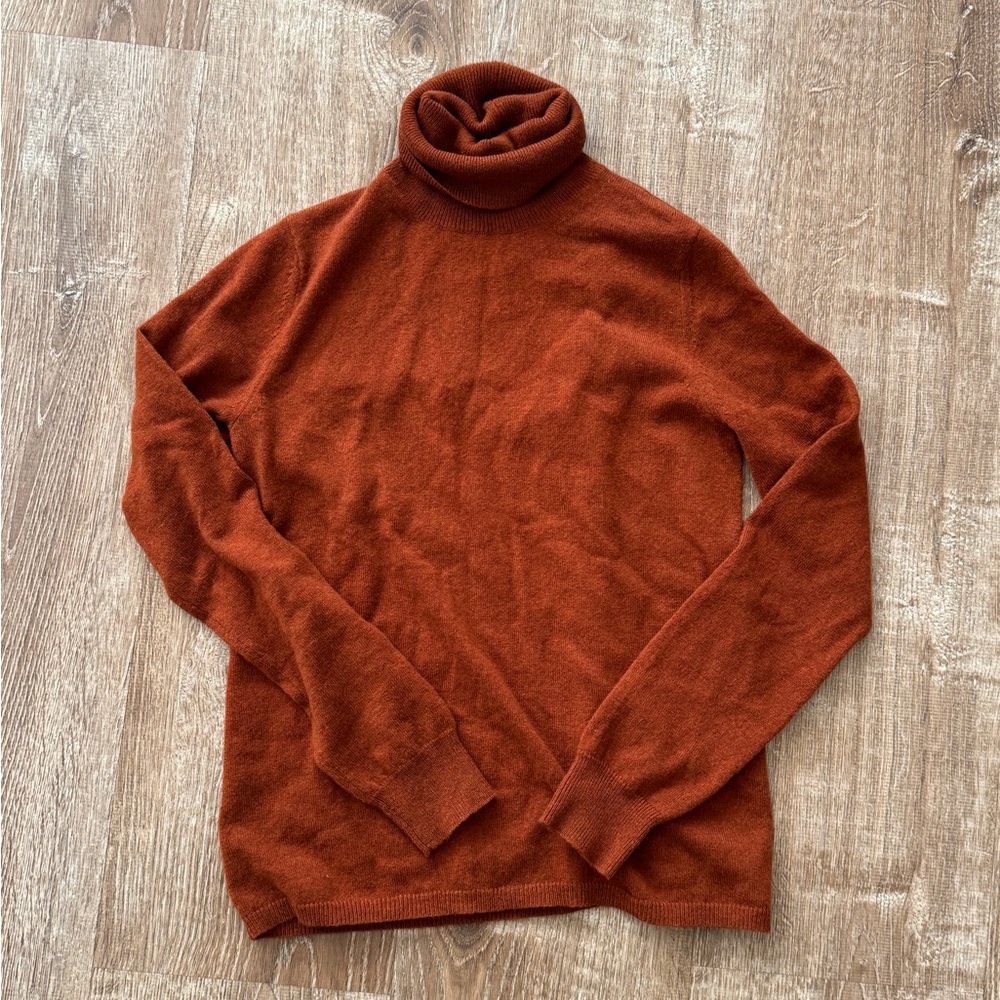 MaxMara Men's Turtleneck Sweater in Rich Rust